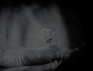 A detective holds an incriminating piece of evidence, a flower